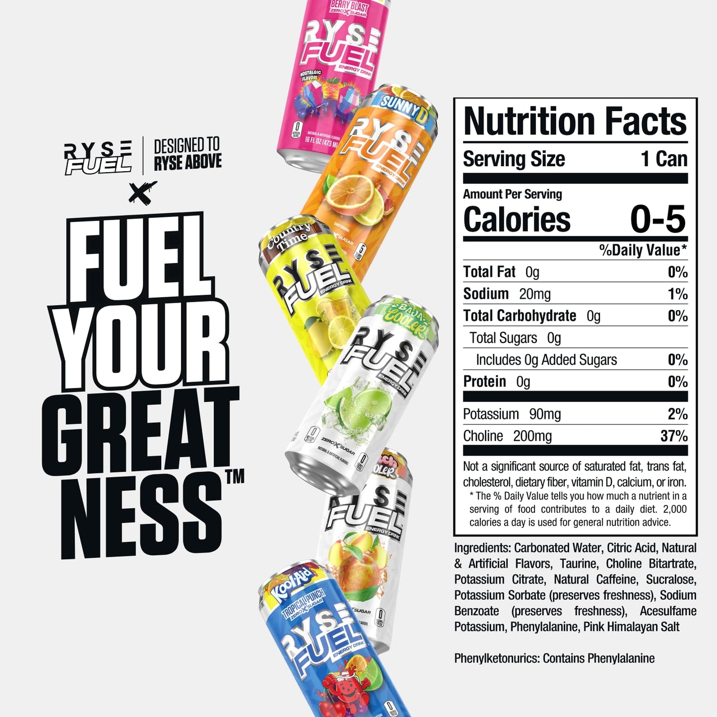 RYSE Up dietary products RYSE Fuel Energy Drink, Sugar Free, Vegan, Gluten Free, 200mg Caffeine, Variety Pack, 12 Pack