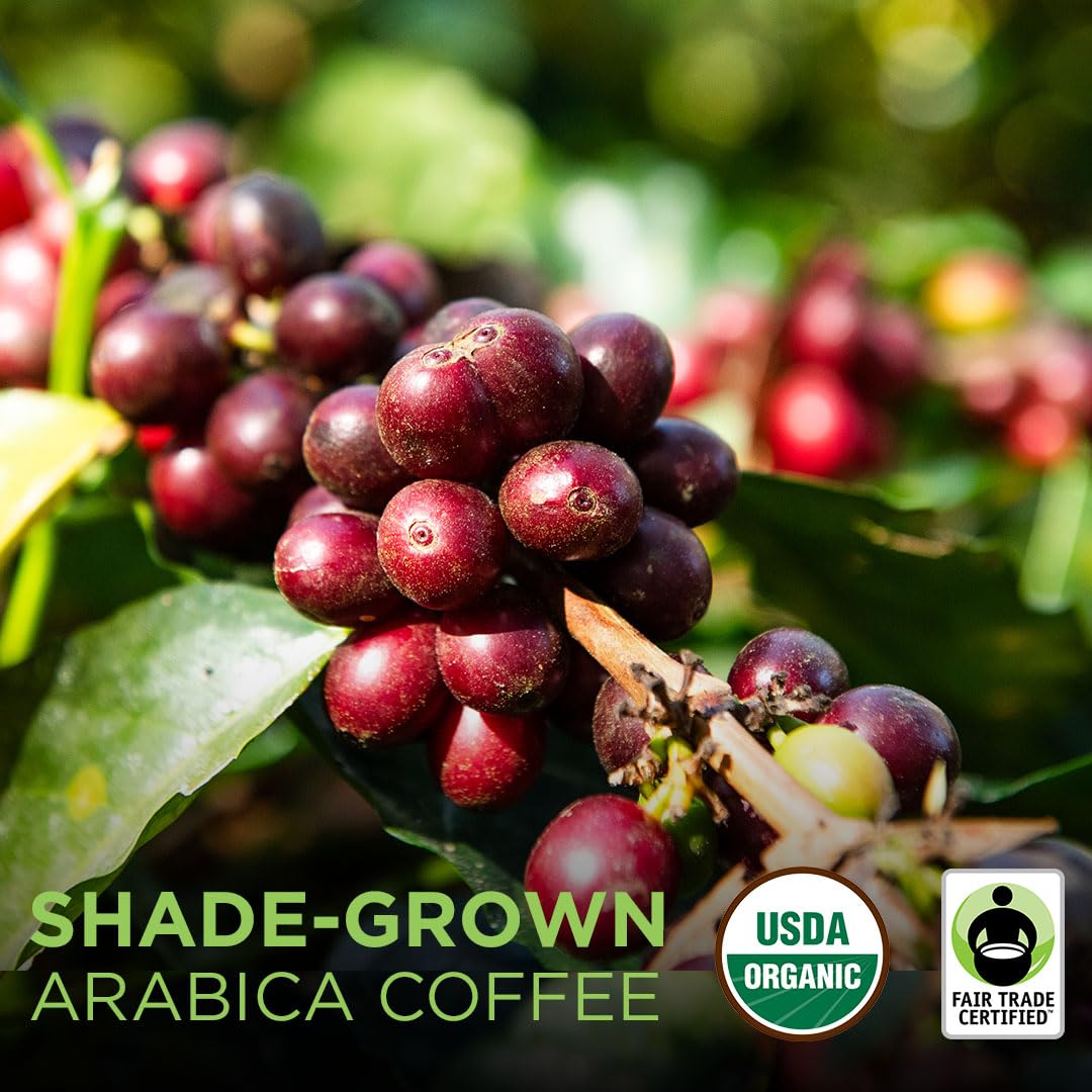 Tiny Footprint Coffee - Fair Trade Organic Nicaragua Segovia Dark Roast | Whole Bean Coffee | USDA Organic | Fair Trade Certifie