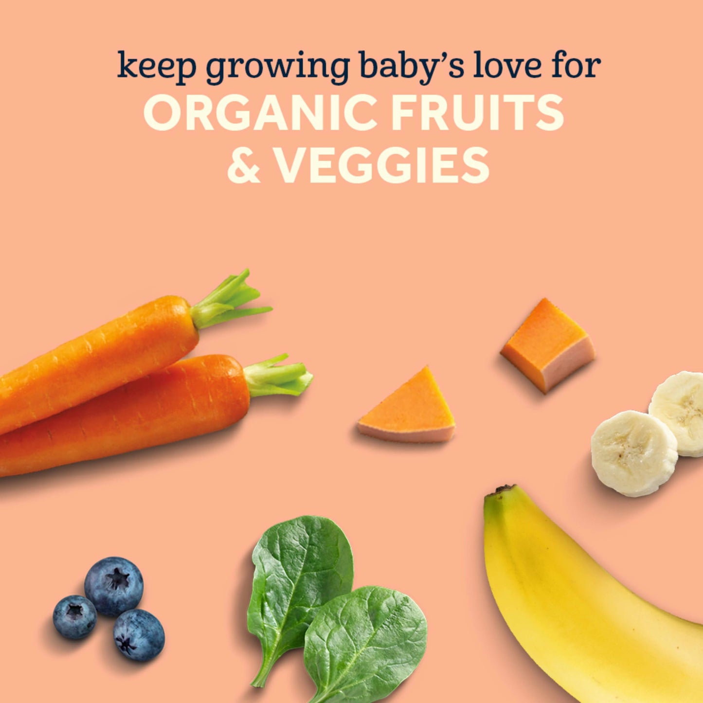 Gerber Stage 2 Baby Food, Organic Fruit And Veggie Favorites Puree Pouches Variety Pack, No Added Sweetener, Baby Food Pouches,