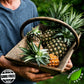 Gerbs Dried Pineapple Cubes 4 Lbs. | Freshly Dehydrated Resealable Bulk Bag | Top Food Allergy Free | Sulfur Dioxide Free Diced