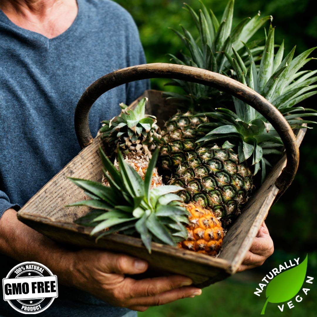 Gerbs Dried Pineapple Cubes 4 Lbs. | Freshly Dehydrated Resealable Bulk Bag | Top Food Allergy Free | Sulfur Dioxide Free Diced