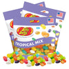 Needzo Jelly Bean Tropical Mix Bulk Shareable Candy, Fruit Flavored Gourmet Chewy Candies for Gift Baskets, Pack of 3, 3.5 Ounce