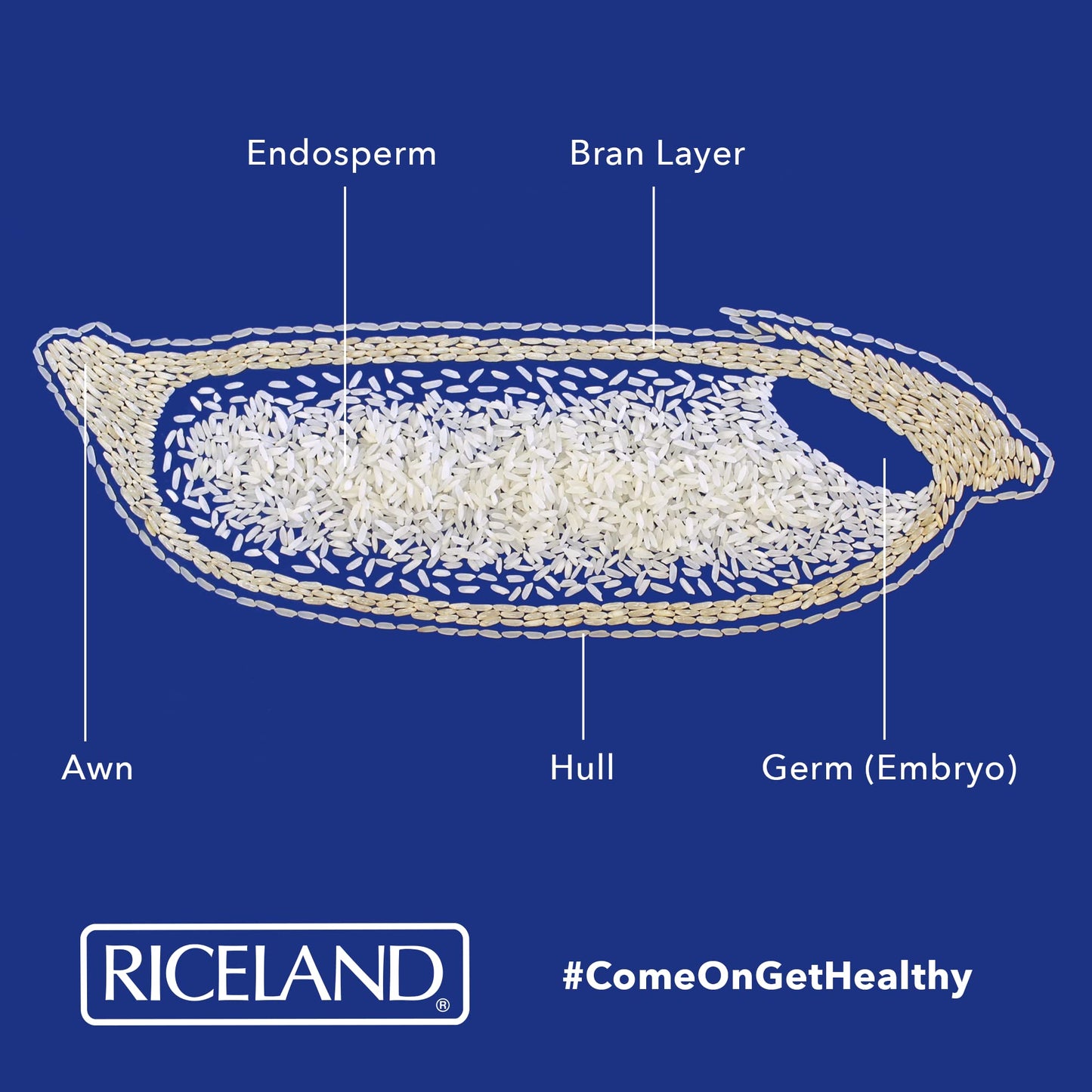 Riceland Long Grain White Rice, 2Lb, Pack Of 3