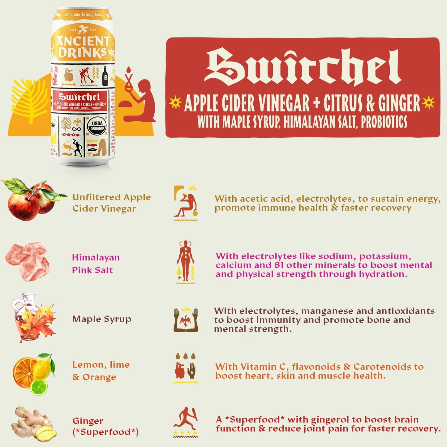 ANCIENT DRINKS Apple Cider Vinegar Beverage, Organic Sports Drink with Electrolytes & Probiotics, Citrus & Ginger, 16 fl oz (12 cans)