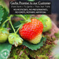 Gerbs Summer Sweet Strawberries 4 Lbs. | Freshly Dehydrated Resealable Bulk Bag | Top Food Allergy Free | Sulfur Dioxide Free Re