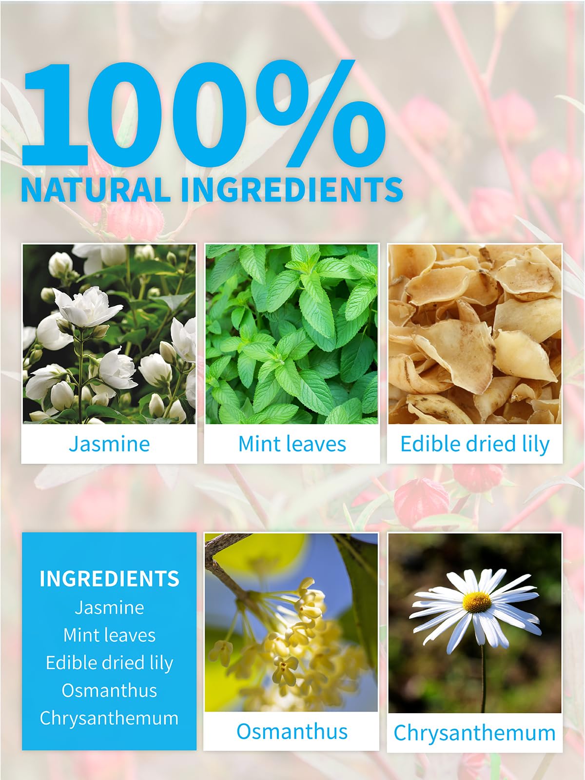 TeeLux Mint Jasmine Tea, Caffeine Free, 30 Count, Fresh & Refreshing Flavor