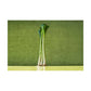 Row 7 Organic Sweet Garleek Bunch, 1 Ea