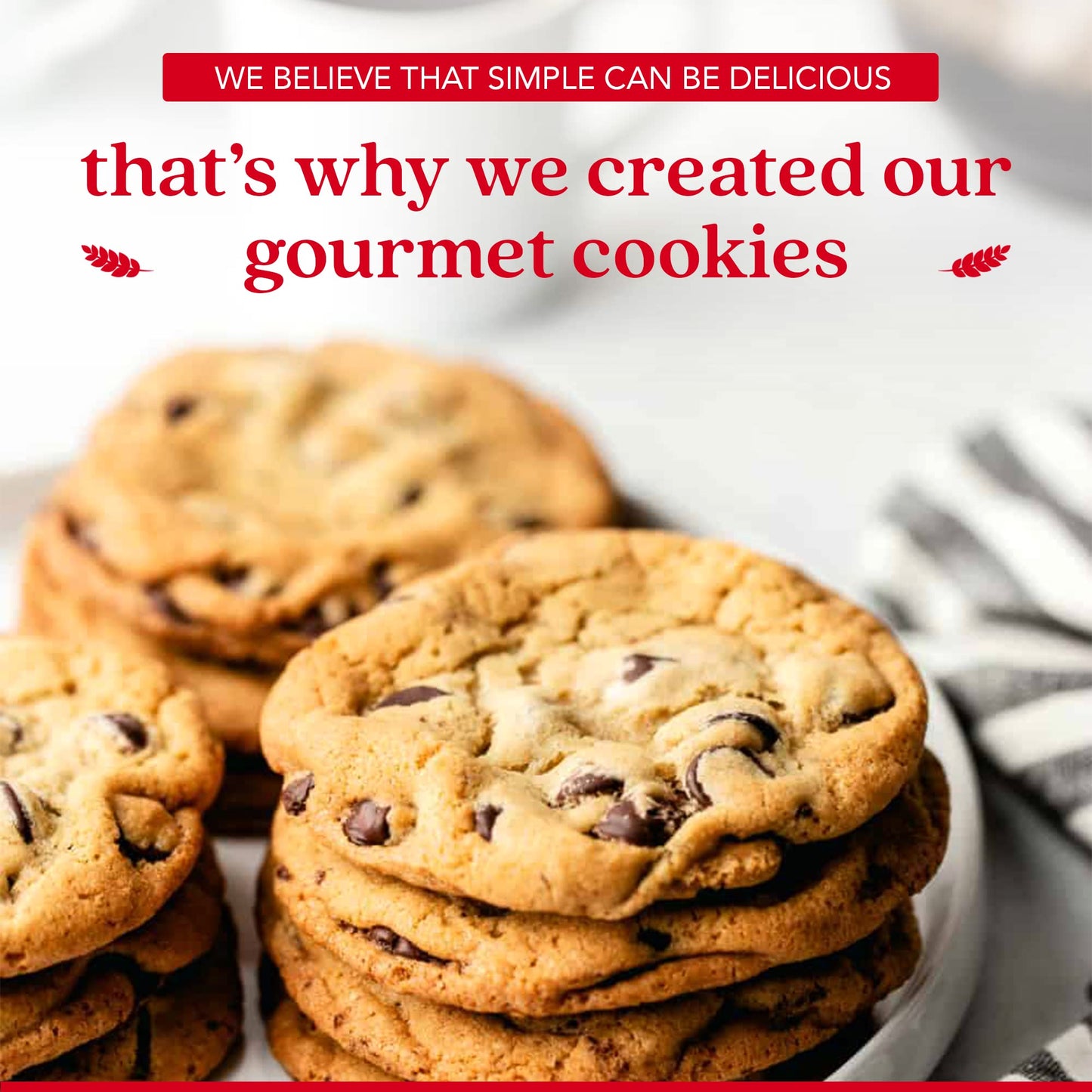 David'S Cookies 1Lb Chocolate Chunks Fresh Baked Cookies - Delectable & Premium Ingredients - No Added Preservatives Cookie Gift