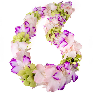 Fresh Cut Orchids Flower Leis Pink, Fresh Orchids, Gorgeous Orchids: Long-lasting leis made of fresh cut purple, lavender, and p