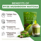Ryze Mushroom Matcha Starter Kit, Usda Organic With 6 Adaptogenic Mushrooms And Ceremonial-Grade Japanese Matcha, Energy, Focus,