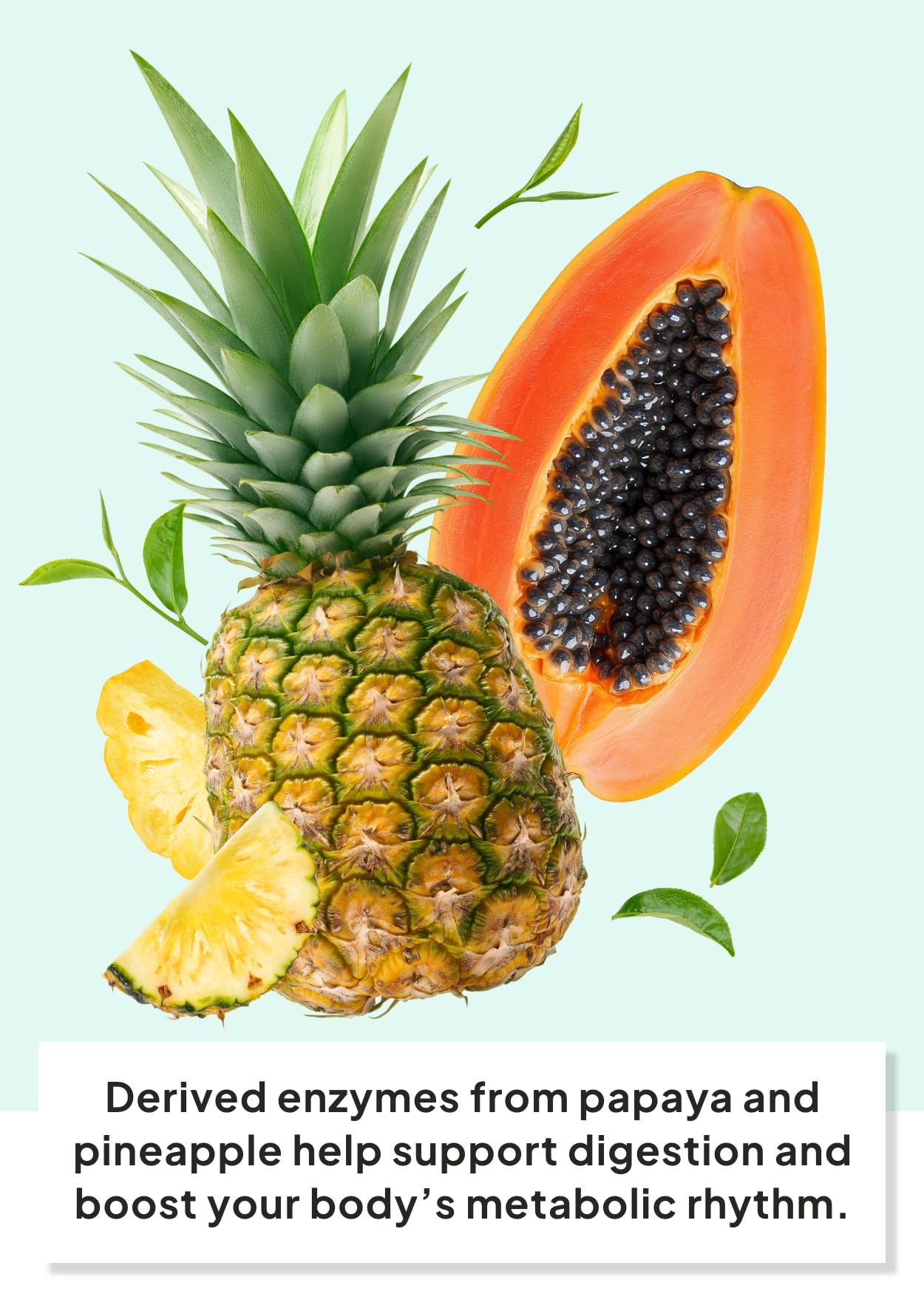Korean Food I'M Alive Kombucha Powder Pineapple(5G*14 Sticks) Authentic Fermented Kombucha With Papain & Bromelain For 7 Days, N