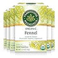 Traditional Medicinals Organic Fennel Herbal Tea, Promotes Digestive Health, (Pack Of 6) - 96 Tea Bags Total