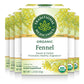 Traditional Medicinals Organic Fennel Herbal Tea - Promotes Digestive Health, Pack of 6 (96 Tea Bags Total)