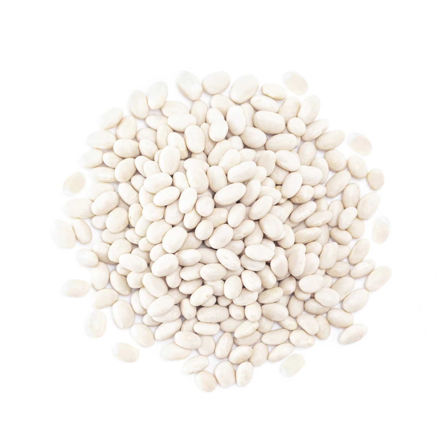 Food To Live Navy Beans, 1 Pound Raw, Dried, Vegan, Kosher, Whole Small White Kidney Beans In Bulk, Good Source Of Protein, Fibe