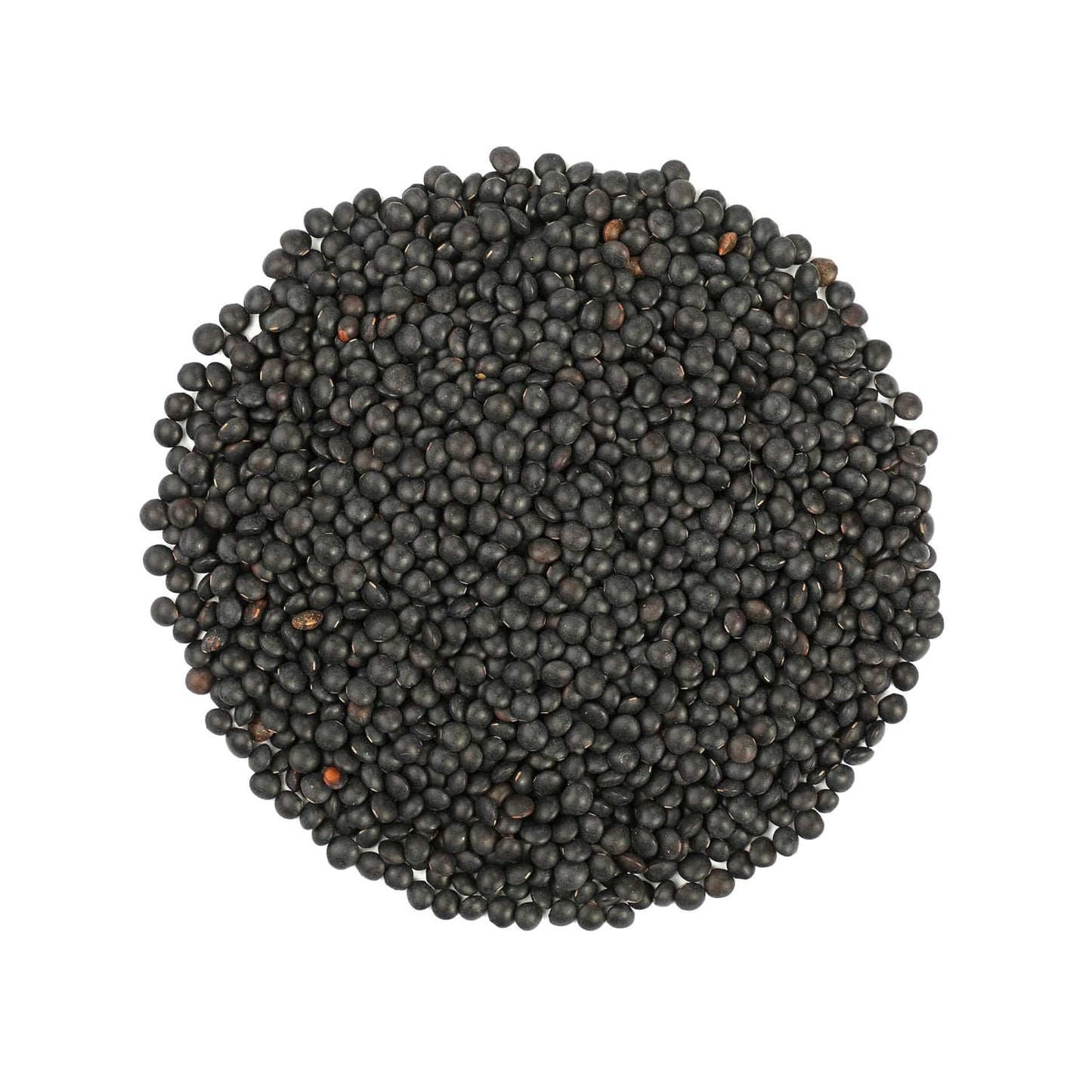 Food To Live Organic Black Lentils, 2 Pounds - Non-Gmo, Whole Dry Pulses, Raw, Sproutable, Kosher, Vegan, Bulk Legumes, Black Ma