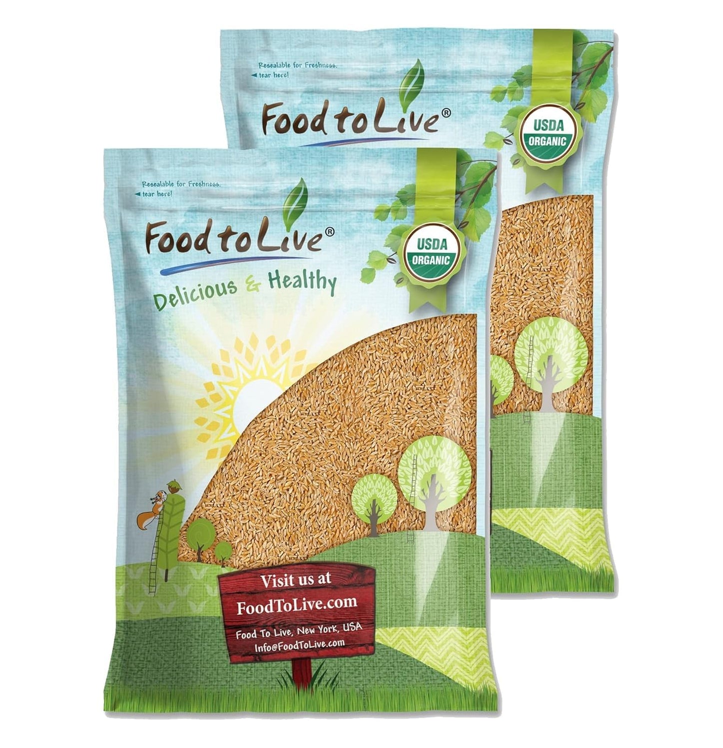 Food to Live Organic KAMUT Khorasan Wheat Berries, 25 Pounds - 100% Whole Grain, Sproutable for Wheatgrass, Non-GMO, Kosher, Bul