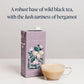 Rishi Tea London Fog Latte, Organic Black Tea Concentrate, 32 Fl Oz (Pack of 12)