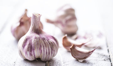 Organic Fresh Purple Garlic By Rawjoy Farms