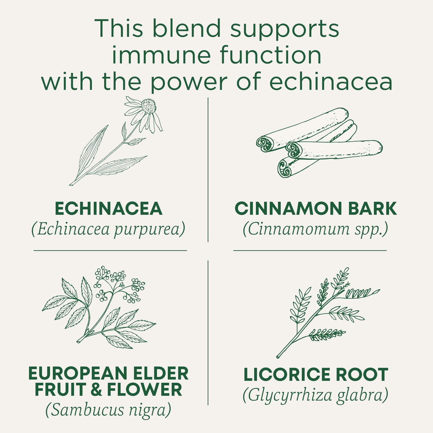 Traditional Medicinals Organic Immune Zoom Tea, Elderberry Echinacea, 16 Tea Bags