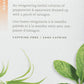 TAZO Refresh Tea Bag, 20 CT