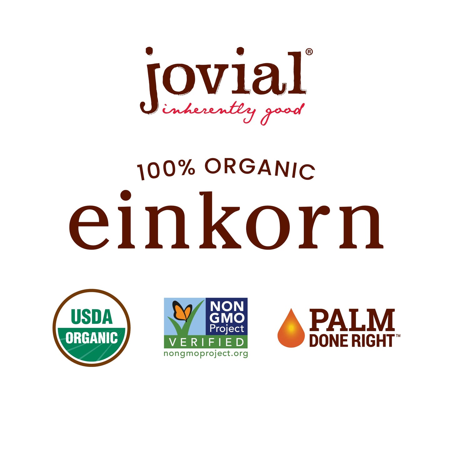 Jovial Organic Sourdough Einkorn Sea Salt Crackers - Sourdough Crackers, Crackers For Cheese Platter, Made With Einkorn, Usda Or