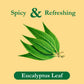 Tadin Eucalyptus Tea - Herbal, Caffeine Free, 24 Tea Bags Per Box, Pack of 6, Model AY-OMES-BTLO