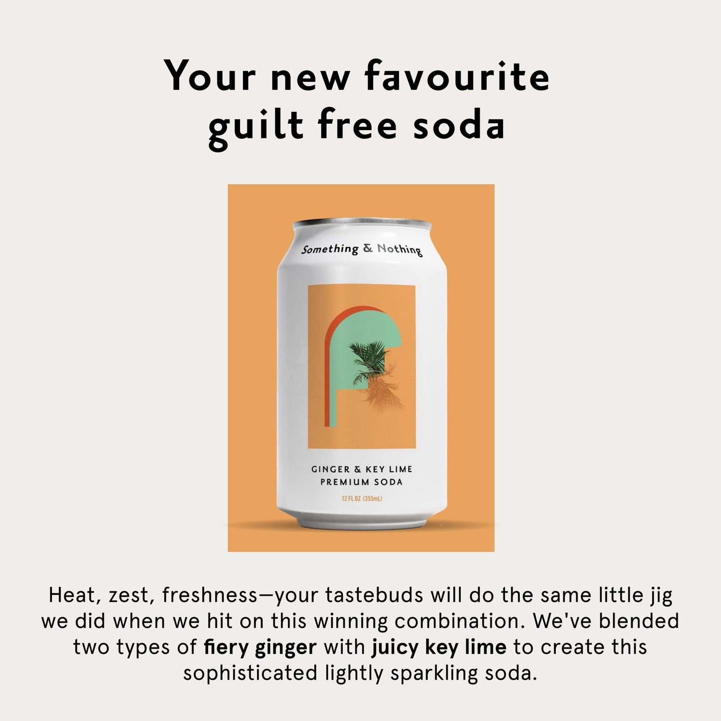 Something & Nothing Ginger & Lime Flavoured Sparkling Water | Lightly Carbonated  Full Flavoured with Added G & Lemon Juice | Vegan & Low Calorie Soda | 12 Fl Oz Cans (Pack of 12)