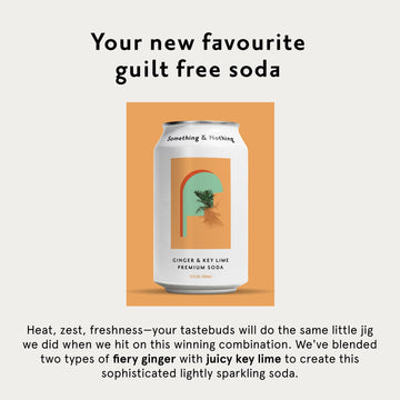 Something & Nothing Ginger & Lime Flavoured Sparkling Water | Lightly Carbonated  Full Flavoured with Added G & Lemon Juice | Vegan & Low Calorie Soda | 12 Fl Oz Cans (Pack of 12)