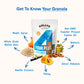 Kellys Four Plus Granola Cereal, Vanilla Almond, Non-GMO, Low Sugar, Gluten Free, 12oz (Pack of 4)