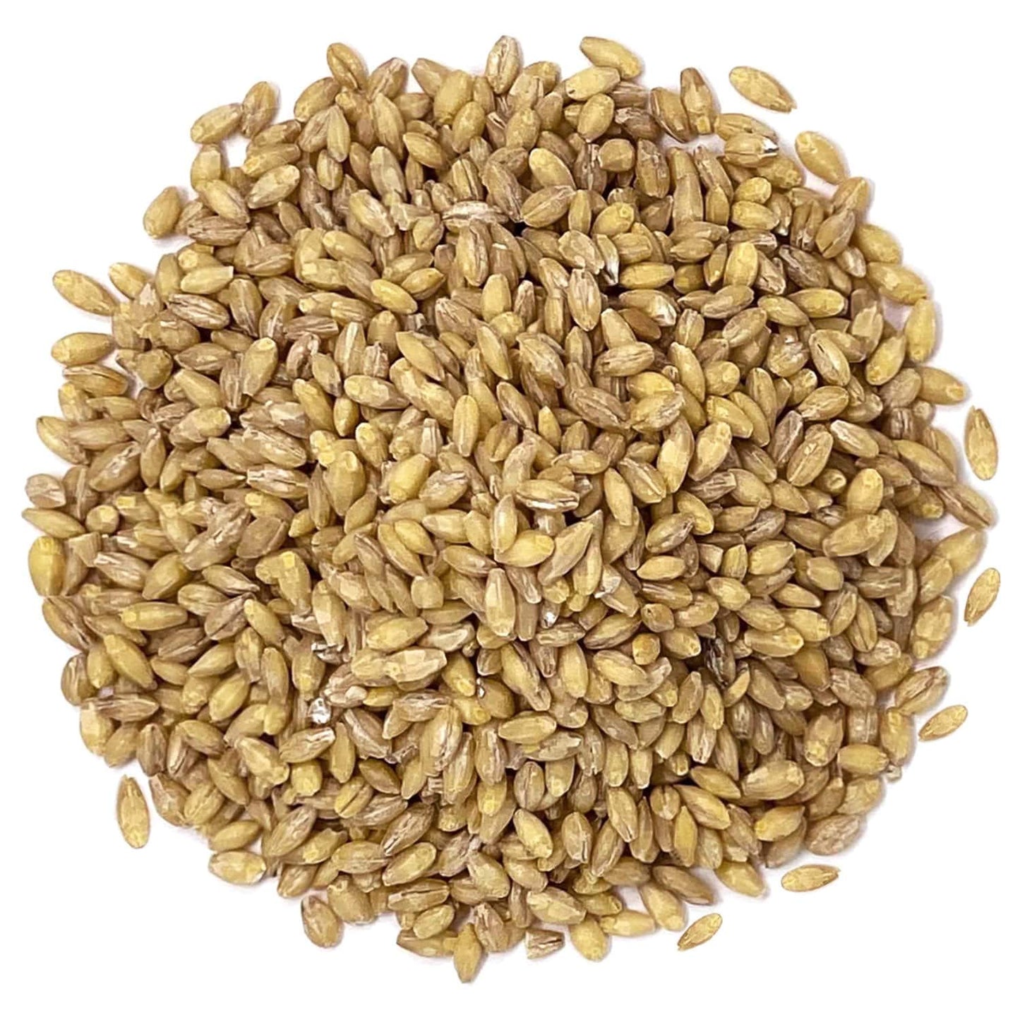 Food To Live Organic Hulled Barley, 8 Ounces - Non-Gmo, 100% Whole Grain, Kosher, Vegan. Suited For Home Brewing, Grinding. High