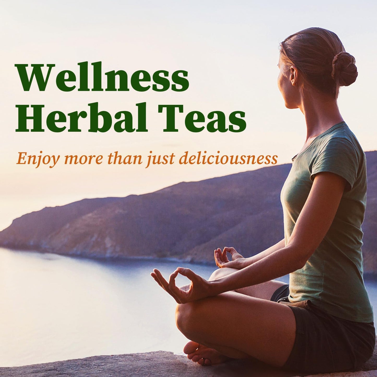 FullChea Ginkgo Biloba Tea Bags - Premium Dried Leaves, Caffeine-free, Non-GMO, 36 Count