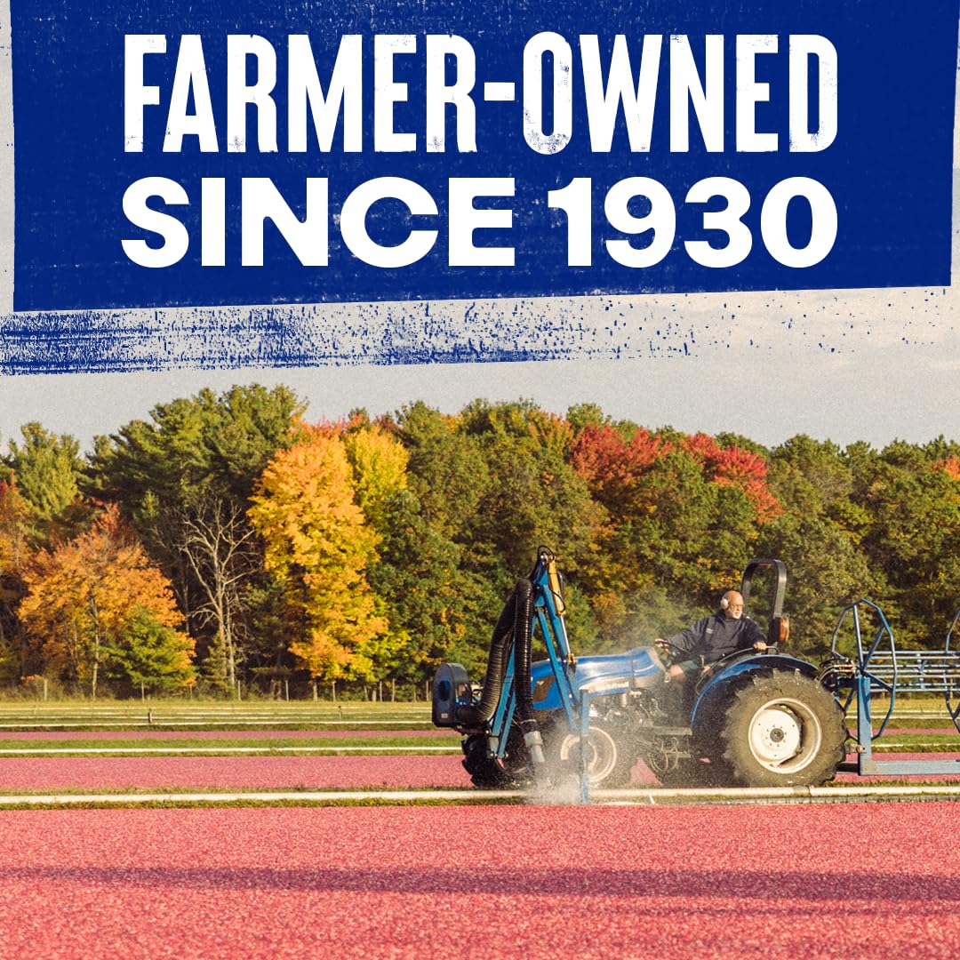 Ocean Spray Whole Cranberry Sauce, Whole Berry, 14 Oz Can, Pack of 24