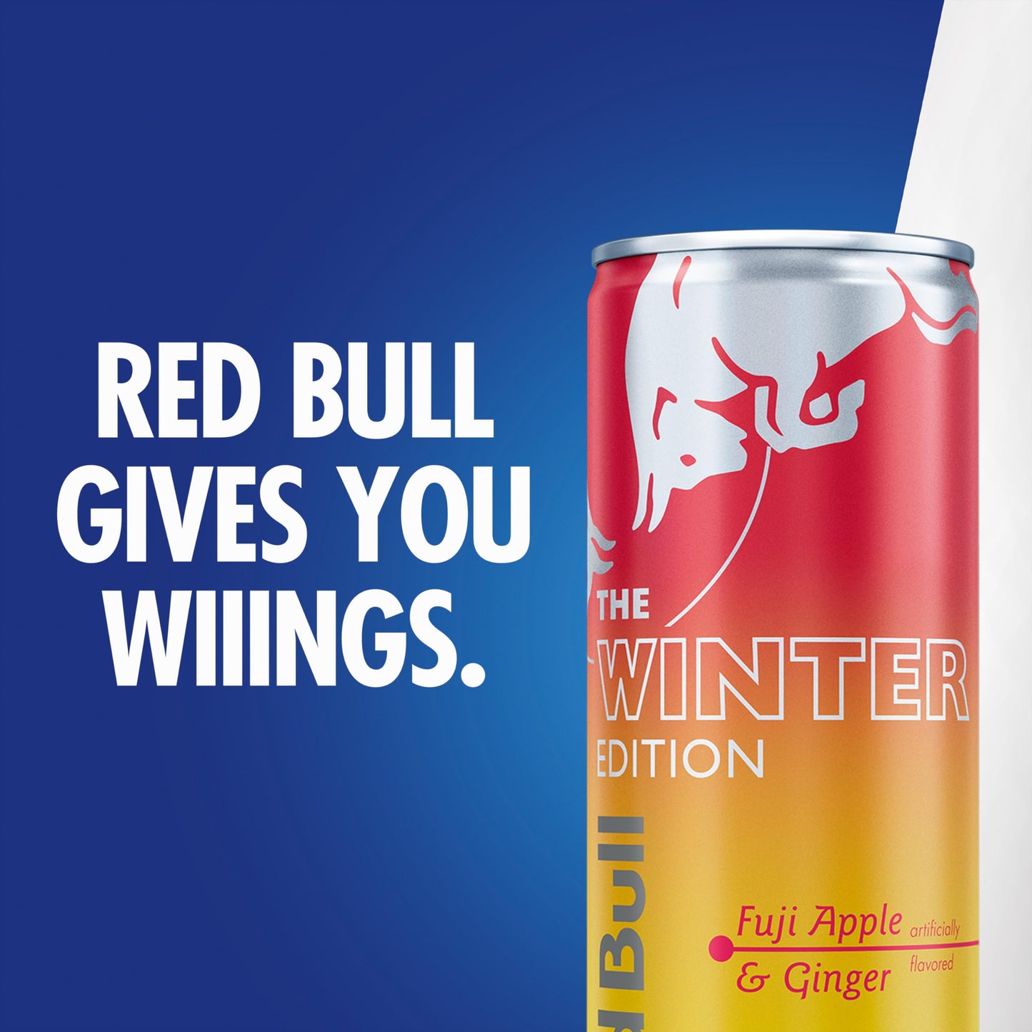 Red Bull Fuji Apple and Ginger Winter Edition Energy Drink  with 114mg Caffeine plus Taurine & B Vitamins  12 Fl Oz  6 Packs of 4 Cans (Pack of 24)