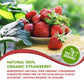 Organic Freeze Dried Strawberry Powder 8 Oz | Usda Certified | Vegan Vitamin Food | Natural Organic Fruit Powder