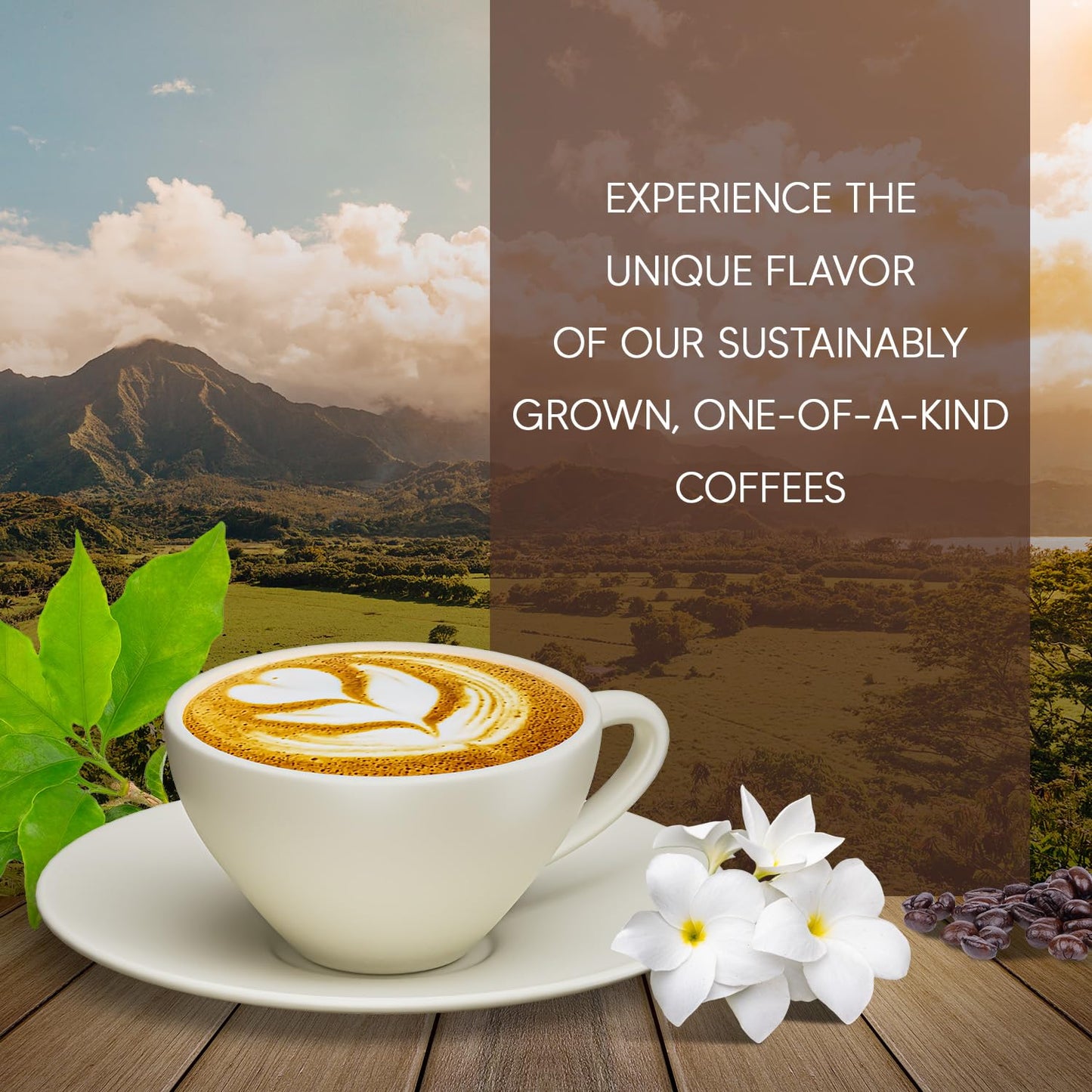 Caf  S Granell - Kopi Luwak + Panama Geisha Coffee | Exotic Collection Coffee | Fresh Whole Gourmet Beans | Quality Controlled |