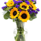 Stargazer Barn - Sunflower Fields Bouquet (Includes Glass Vase) - Fresh Flowers for Delivery - Gift for Anniversary, Birthday, C