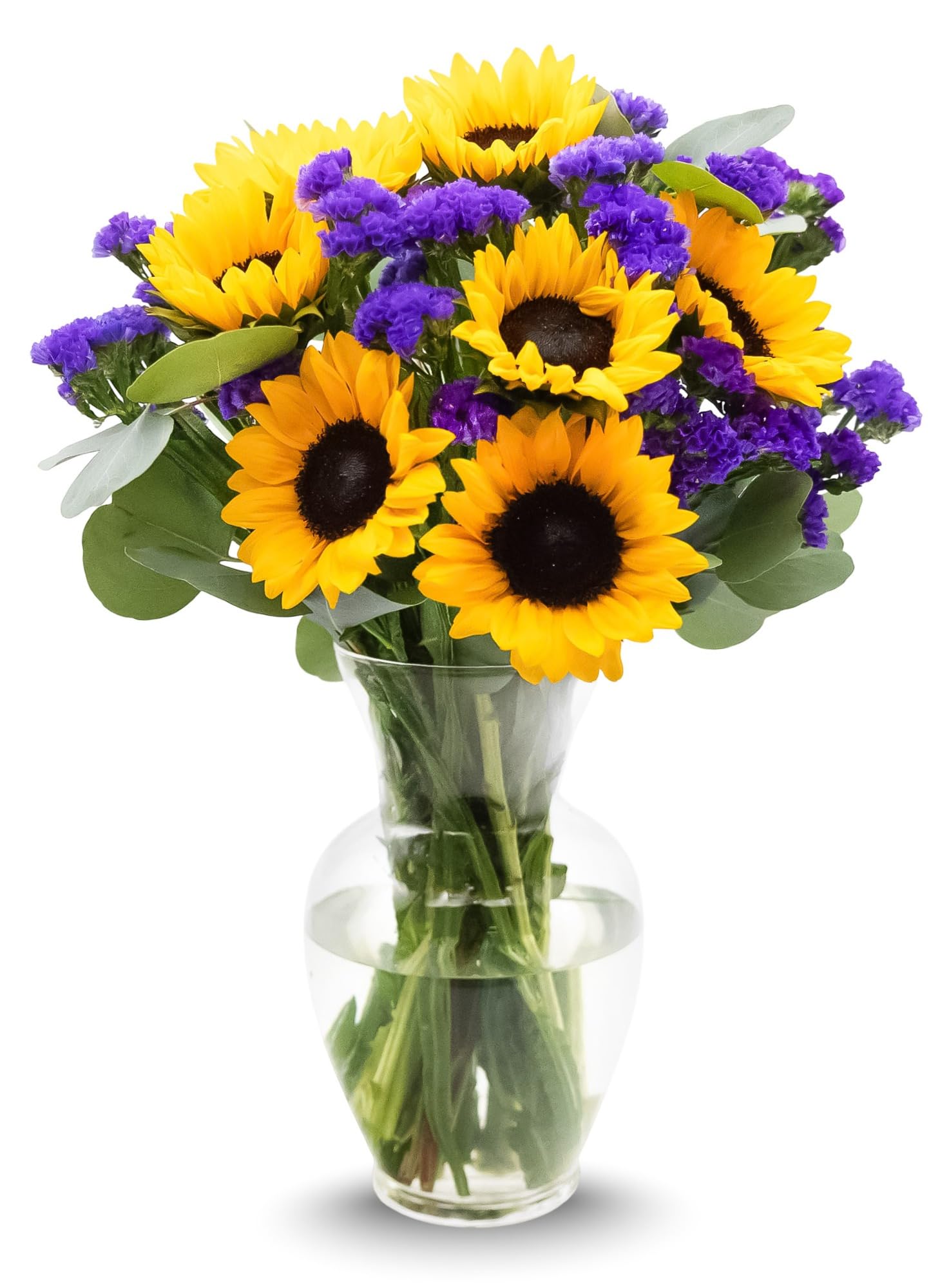 Stargazer Barn - Sunflower Fields Bouquet (Includes Glass Vase) - Fresh Flowers for Delivery - Gift for Anniversary, Birthday, C