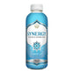 SYNERGY The Real Kombucha - Sacred Life - 16 fl oz Bottle - Raw Probiotic Drink for Gut Health and Immune Support