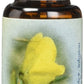 Flower Essence Services Gorse Dropper, 0.25 Ounce