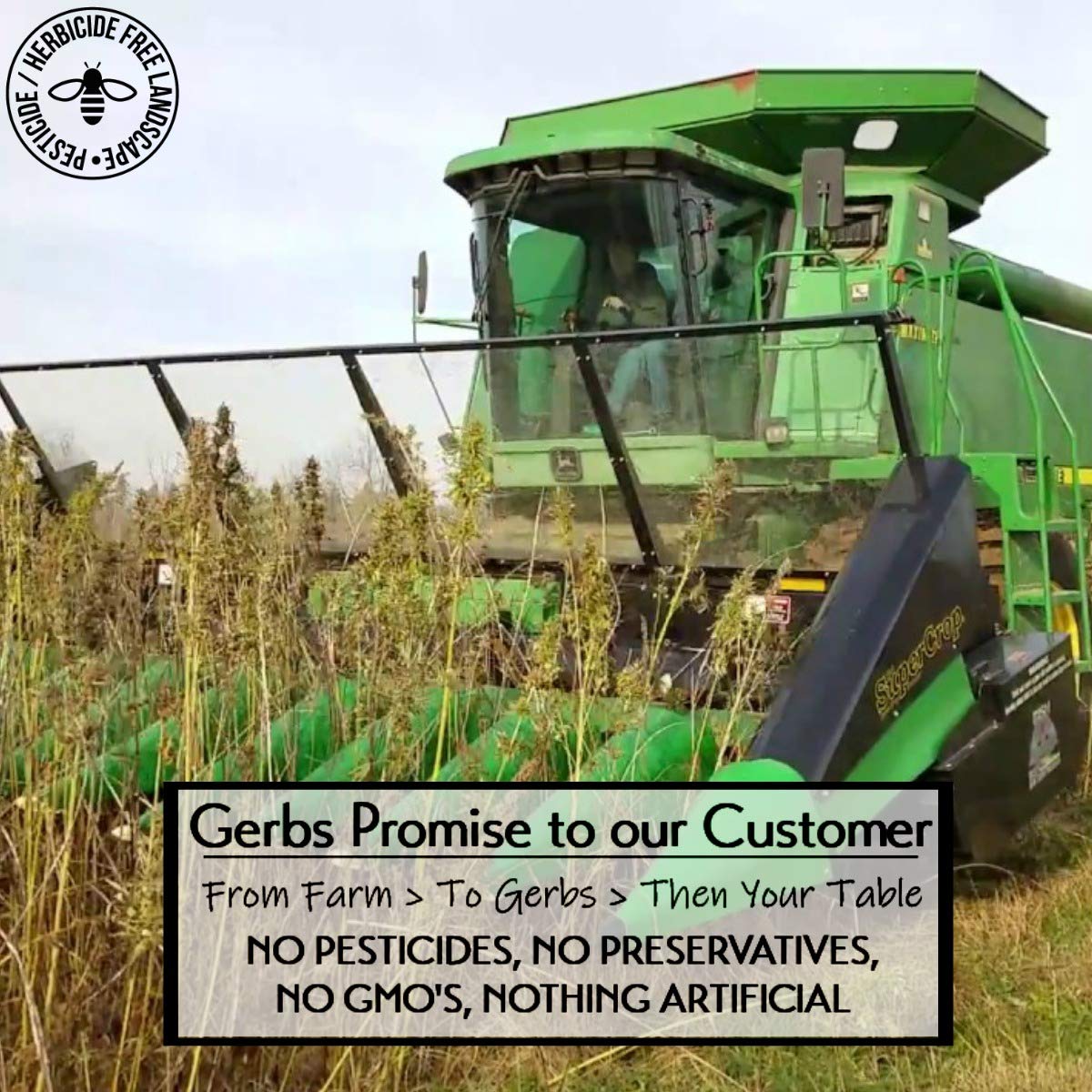 Gerbs Super 5 Seed Meal 1 lb. | Finely Ground, No Additives, Resealable Bag | Hearty & Nutty Texture for Baking & Smoothies | To