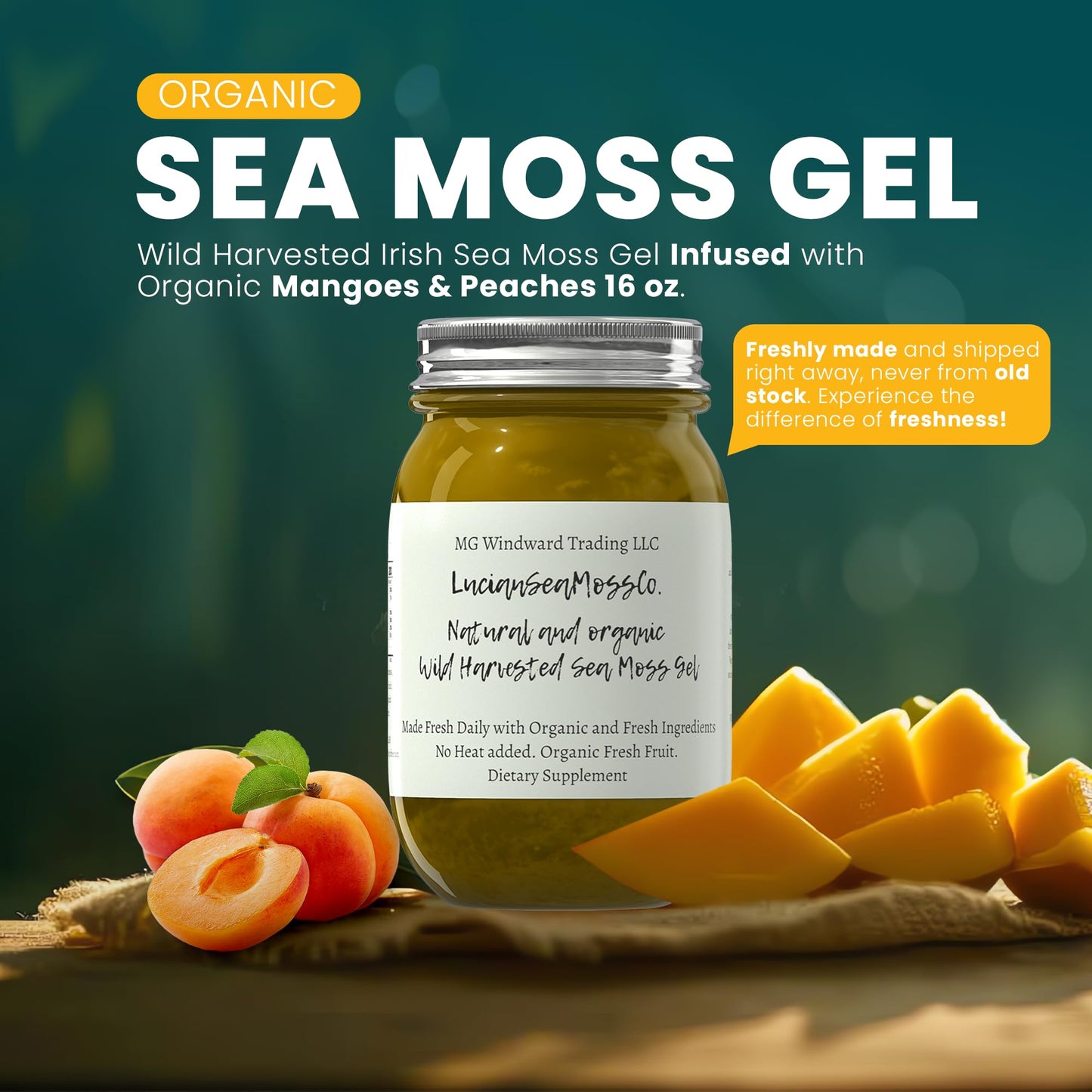 Apple Cinnamon Sea Moss Gel Organic Fresh Fruit Infused Certified Wild Harvested Irish Sea Moss Gel | Immune And Digestive Suppo