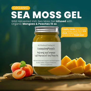 Apple Cinnamon Sea Moss Gel Organic Fresh Fruit Infused Certified Wild Harvested Irish Sea Moss Gel | Immune And Digestive Suppo