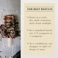 Cook'S, Pure Hazelnut Flavor, Perfect For Baking And Cooking, Certified Kosher, Gluten Free, Allergen Free, Vegan, 8 Oz