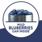 Krusteaz Wild Blueberry Muffin Mix, 17.1 OZ (Pack of 12)