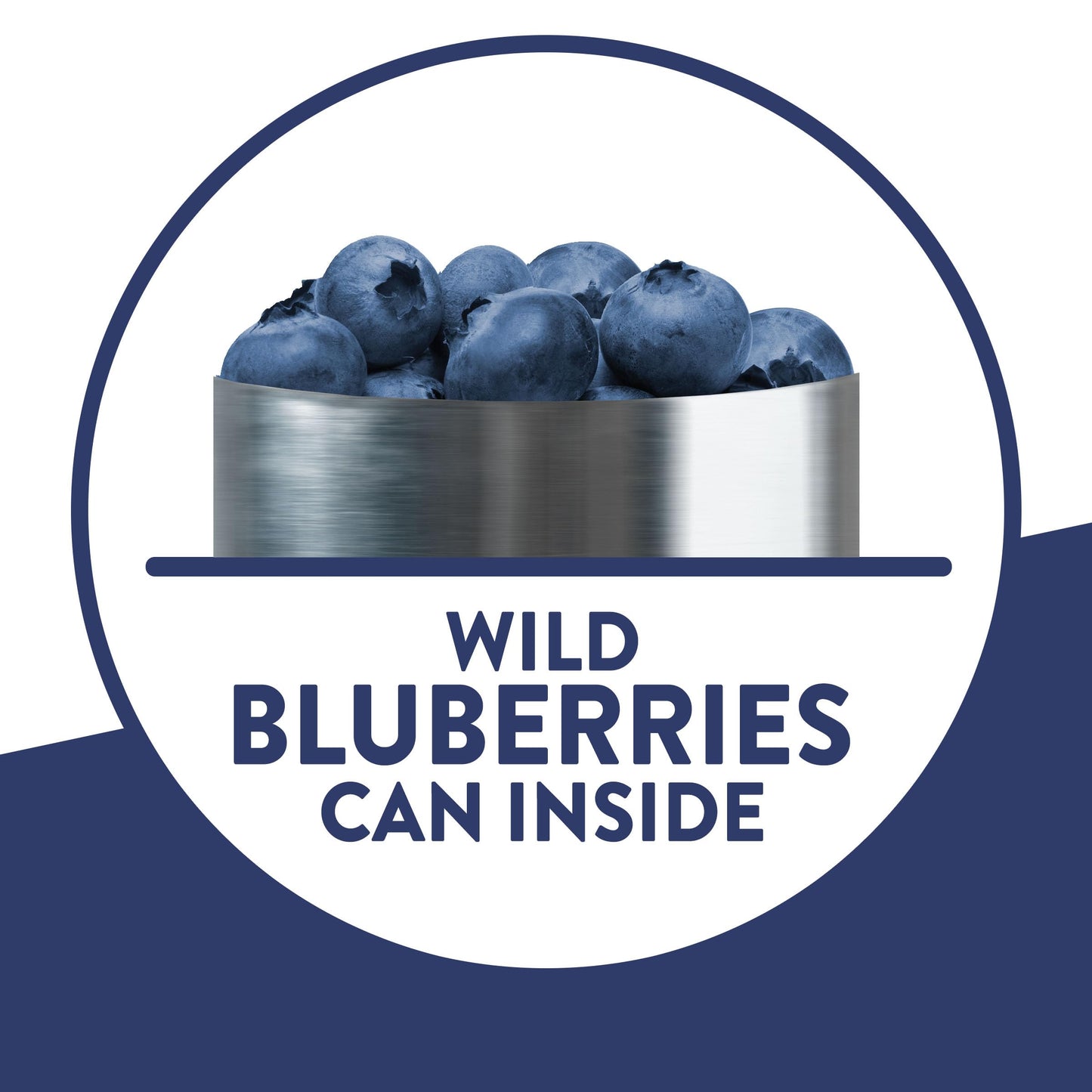 Krusteaz Wild Blueberry Muffin Mix, 17.1 OZ (Pack of 12)