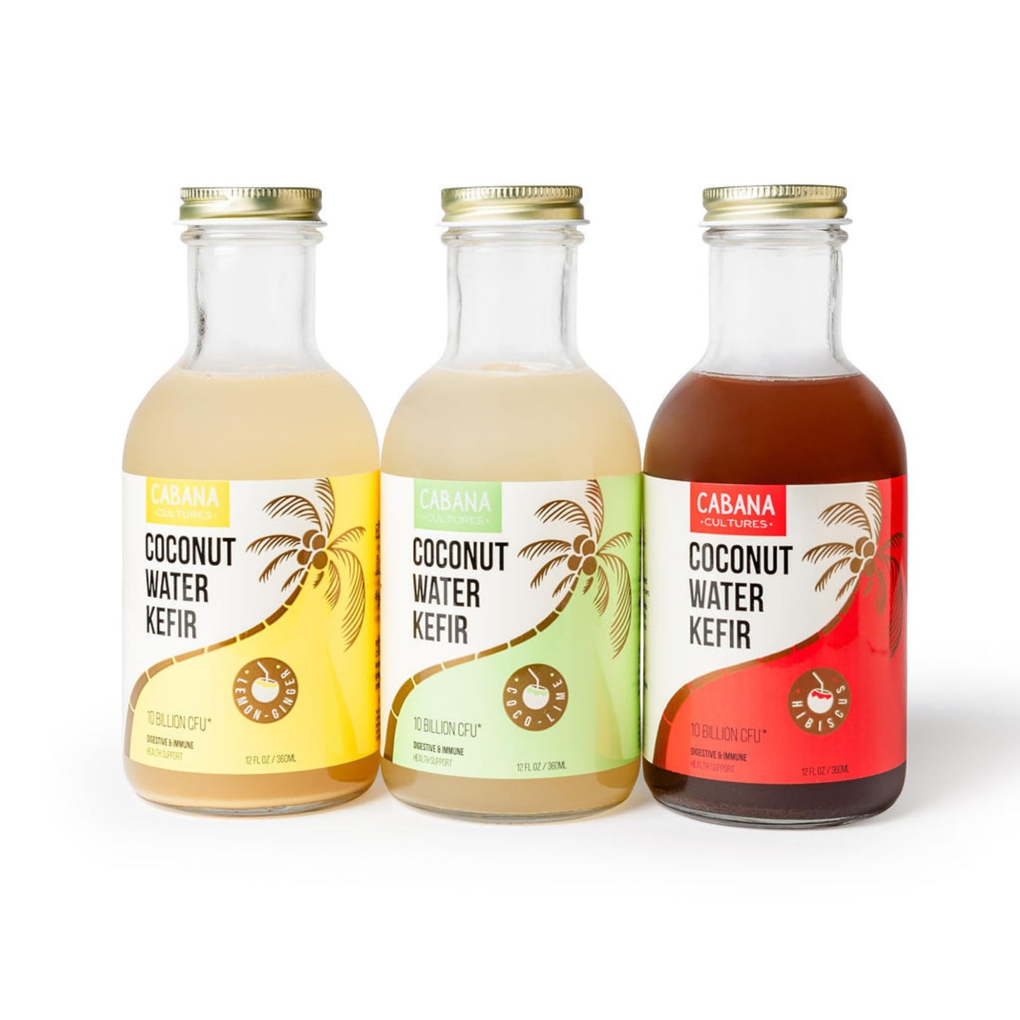 Cabana Cultures Probiotic Coconut Water Kefir, Vegan, Low Sugar, 12 Fl Oz (Pack of 12)