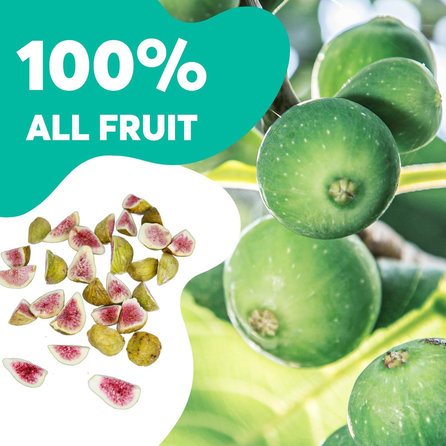 Onetang Freeze-Dried Fruit Fig Chips, 12 Pack Single-Serve Pack, Non Gmo, Kosher, No Add Sugar, Gluten Free, Vegan, Holiday Gift