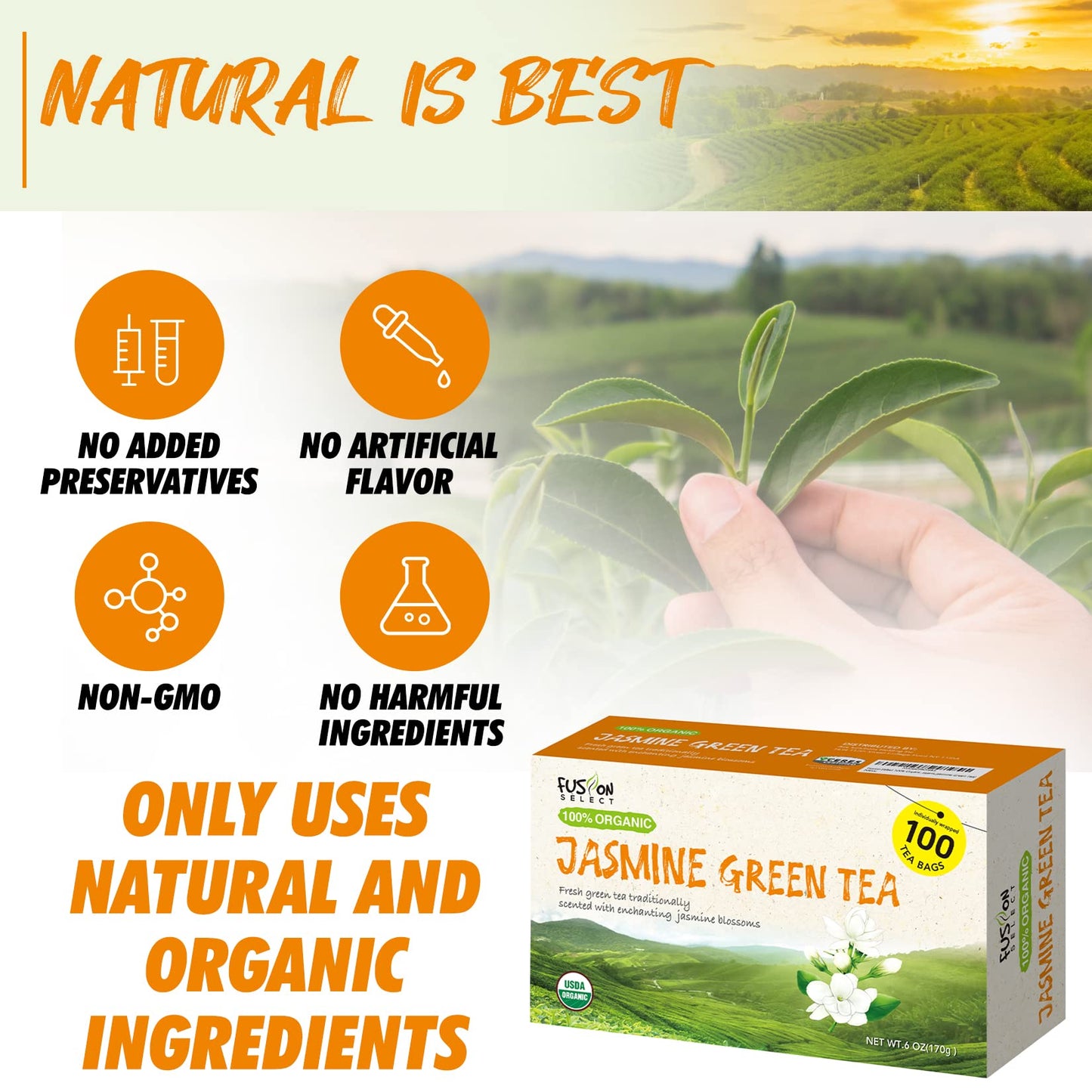 Fusion Organic 200 Counts Jasmine Green Tea - Fresh & Relaxing Jasmine Tea Bags Blend Traditionally Scented with Jasmine Blossom