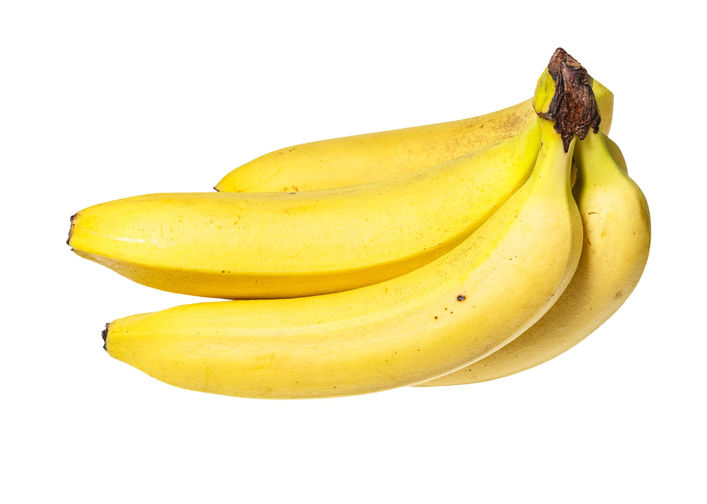 Fresh Organic Premium Banana Bunch By Rawjoy Farms, 1 Pound