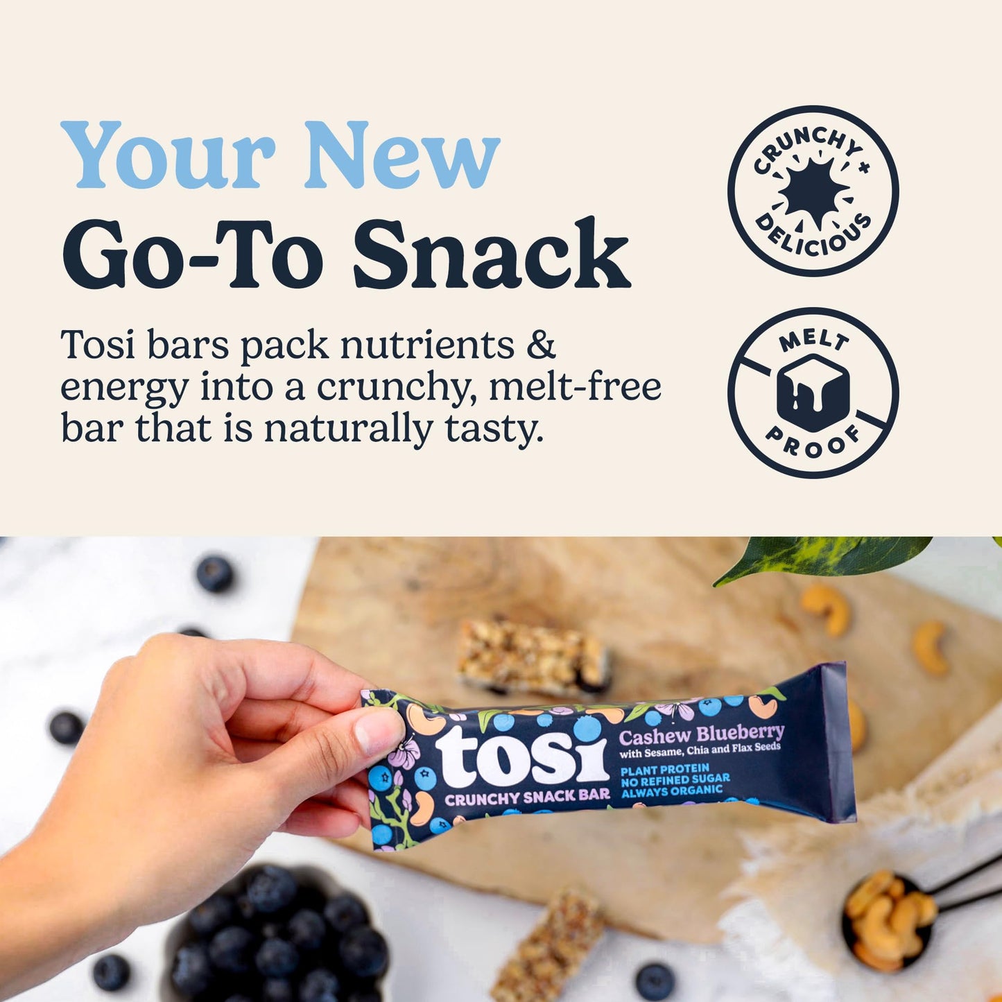 Tosi Cashew Blueberry Protein Bars - Crunchy Nut & Seed Vegan Snack Bars, Gluten Free, 6g Plant Based Protein, Organic Flax, Chi